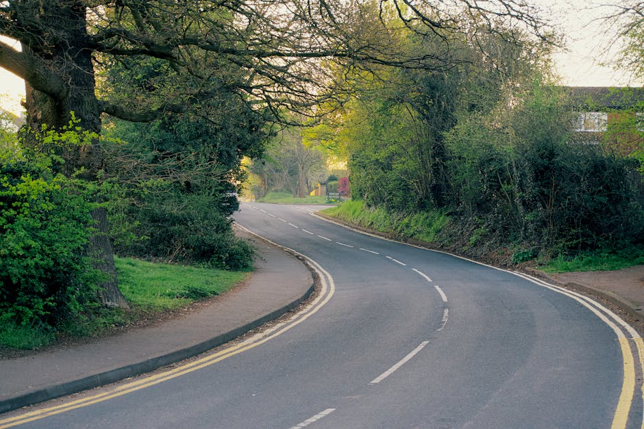 A quiet residential street with a gently curving tarmac road, lined by a narrow pedestrian pavement on the left side bordered by grass and several large mature trees with green foliage. On the right side, a high hedge and some shrubbery partially obscure a red-brick house with a visible chimney. The scene is illuminated by soft natural daylight, suggesting a clear, calm day. The street is empty, with no vehicles or pedestrians visible, creating a peaceful environment suitable for home relocation activities. This setting aligns with the typical environment for local house removals and furniture transport, often managed by Man with Van Monken Hadley, who specializes in removals and moving logistics in the area.