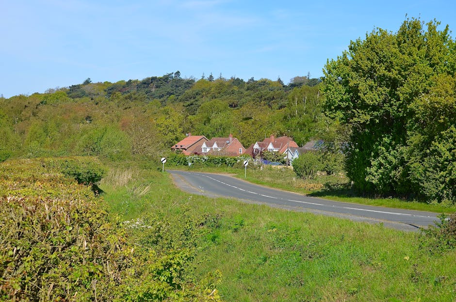 The image shows a rural road curving through a green landscape, with a large leafy tree on the right and low shrubs and grass on the left. In the background, there are several houses with red and brown tiled roofs, situated among trees and greenery, partially obscured by the foliage. The road is bordered by white posts with reflective markers, and the scene is illuminated by bright daylight under a clear blue sky. The scene depicts a quiet residential area typical of Monken Hadley, with a peaceful countryside setting. This environment offers a suitable context for house removals or furniture transport, as the image captures a typical street where relocation services by Man with Van Monken Hadley could operate, emphasizing the importance of logistics and careful loading for home relocation and packing activities.